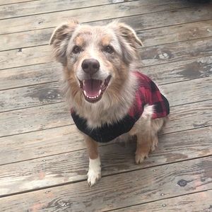 Meet your Posher, Cortney